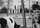 Konin w obiektywie Ryszarda Fórmanka…