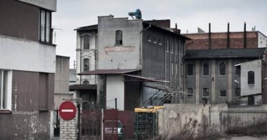 Zniknęły z pejzażu Konina!