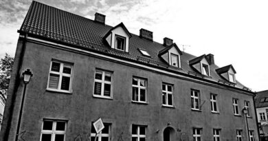 Stały się cegłami w budowaniu opowiadań…