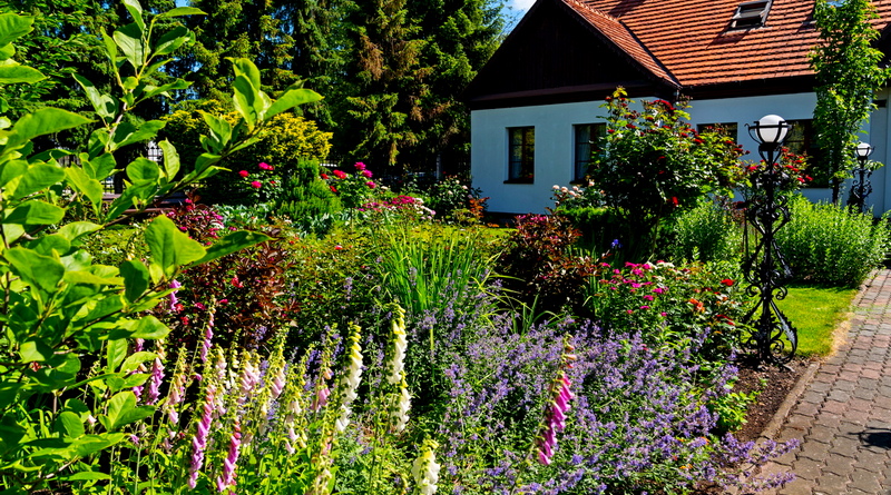 2025 rok w danych USC