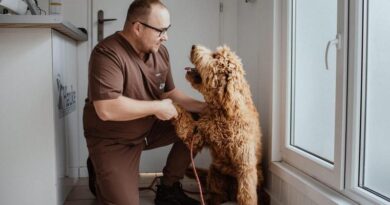 Porozmawiajmy o zdrowych stawach naszych braci mniejszych!