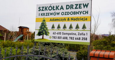 Wiosna budzi się na całego!