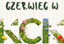 Czerwiec w KCK zapowiada się wyjątkowo intensywnie!